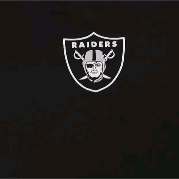 VTG The Northwest Co. NFL Last Vegas Raiders Sweatshirt Comforter 66X84 - Picture 4 of 4